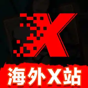 海外X站